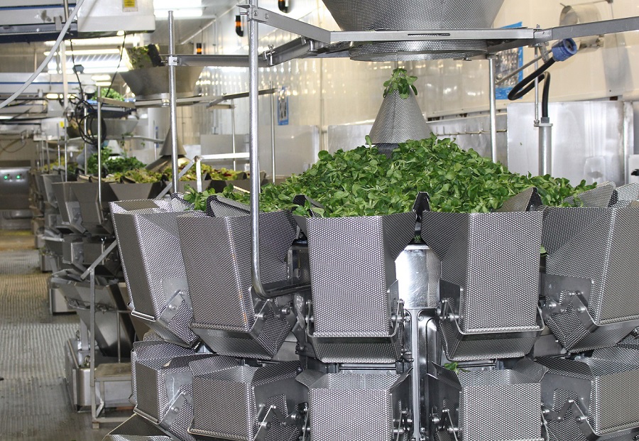 ISHIDA salad solutions provide long-term partnership